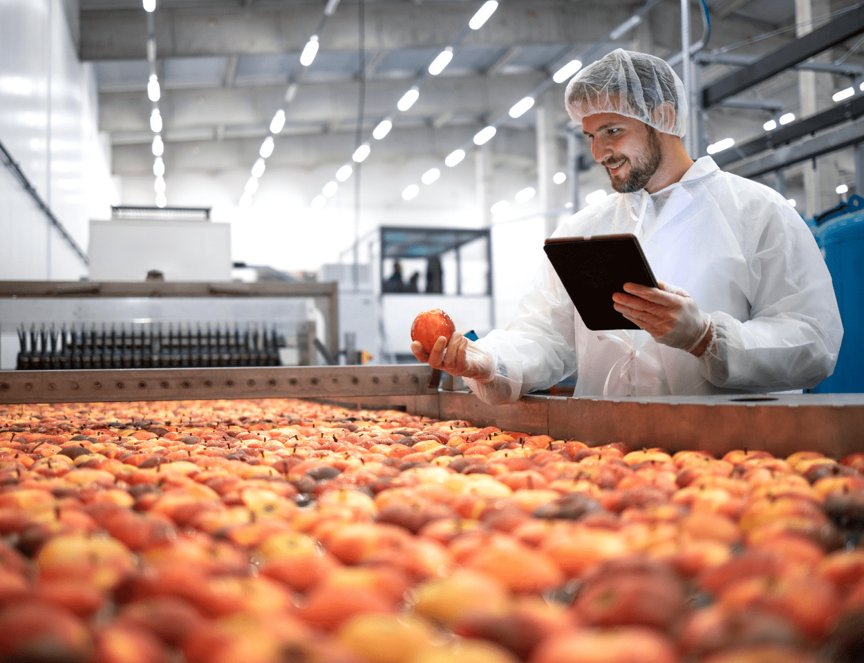 create robust Food Safety control Plans with CIKLab