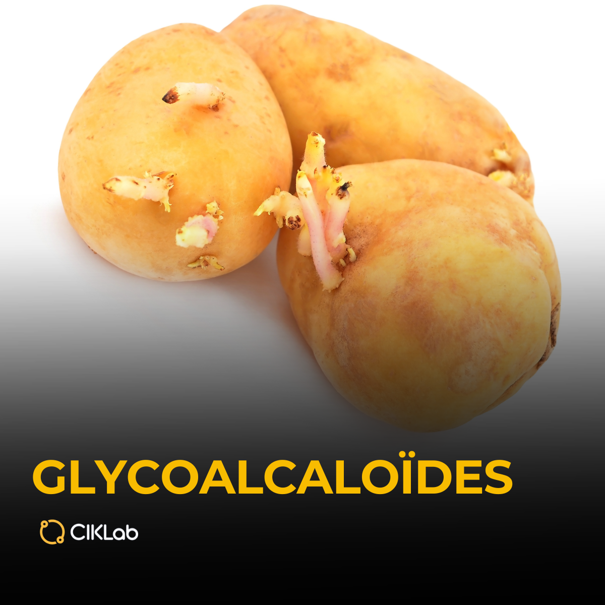 les glycoalcaloïdes dans les aliments