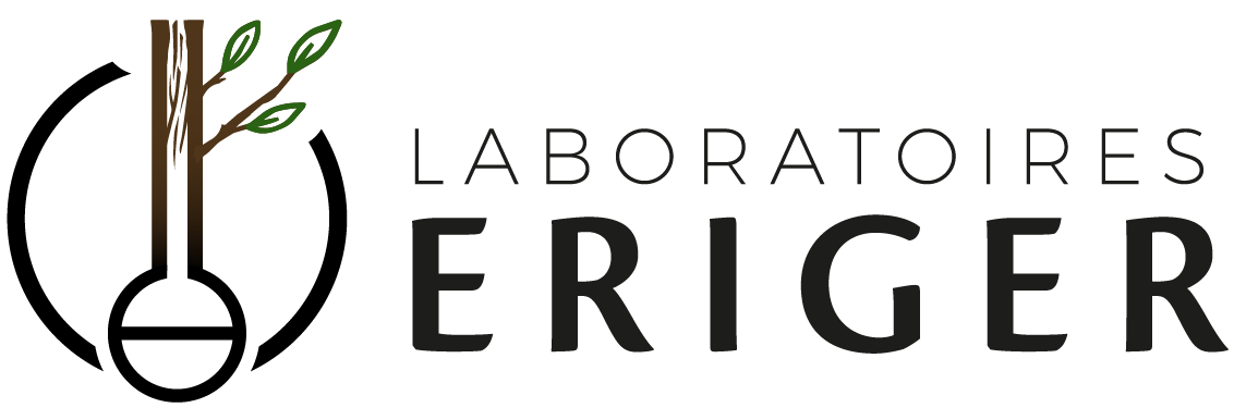 Logo-site-ERIGER